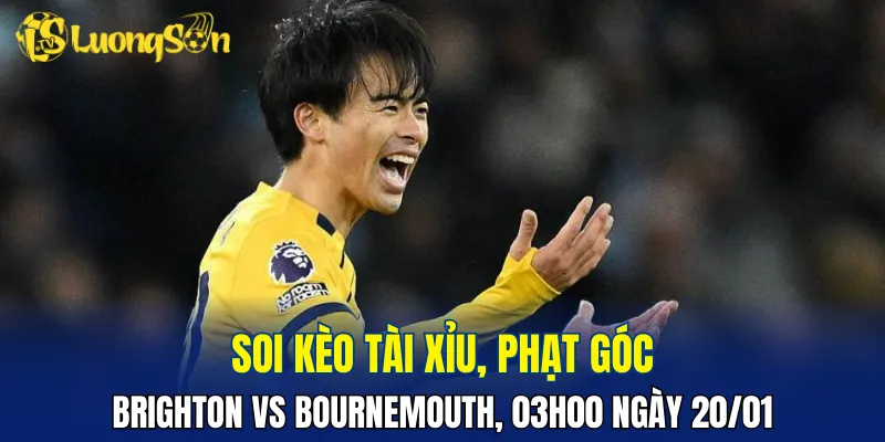 Trận đấu Brighton vs Bournemouth có thể sẽ nhiều bàn thắng