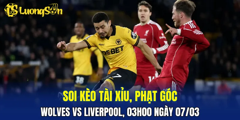 Wolves vs Liverpool dự đoán sẽ do đội khách làm chủ thế trận