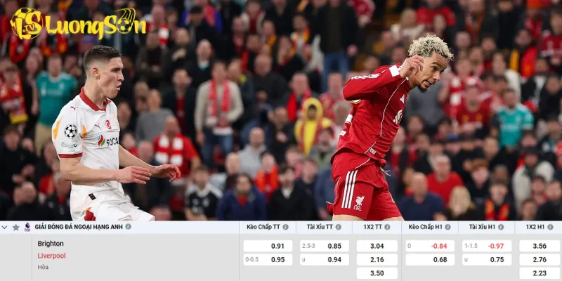 Chi tiết kèo Brighton vs Liverpool