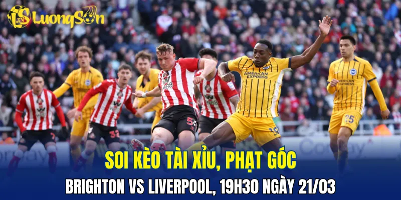 Dự đoán Brighton vs Liverpool khả năng cao nhiều bàn thắng